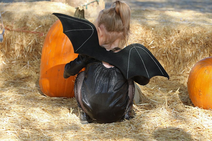 Child in black bat wings and a sparkly bodysuit crouching between pumpkins and hay bales