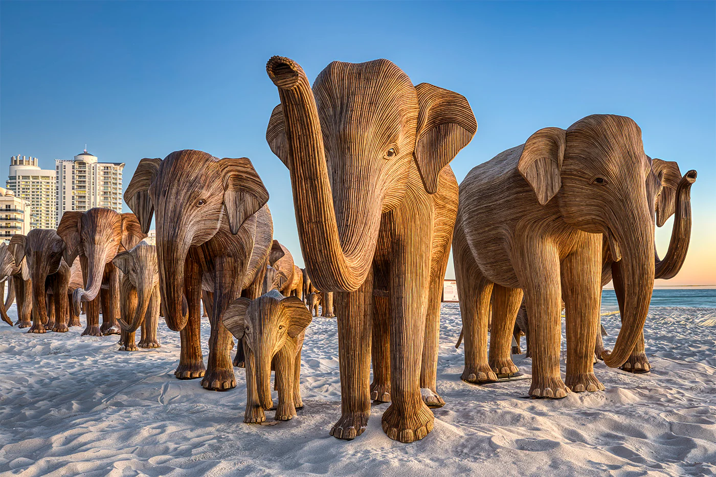 The Great Elephant Migration herd