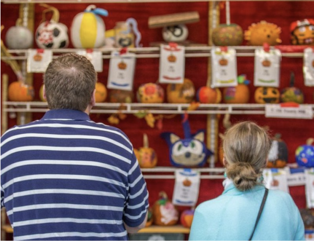 Two visitors looking at a wall of decorated pumpkins on shelves