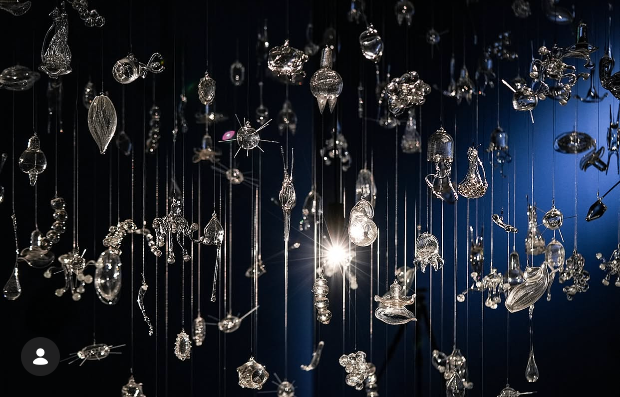 Hanging glass sea-creature sculptures lit in blue at the MIT Museum Sensing Oceans exhibition